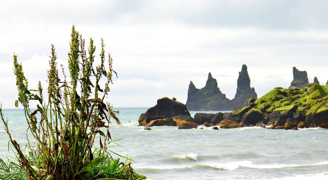Felsen vor der Küste von Vik in Island