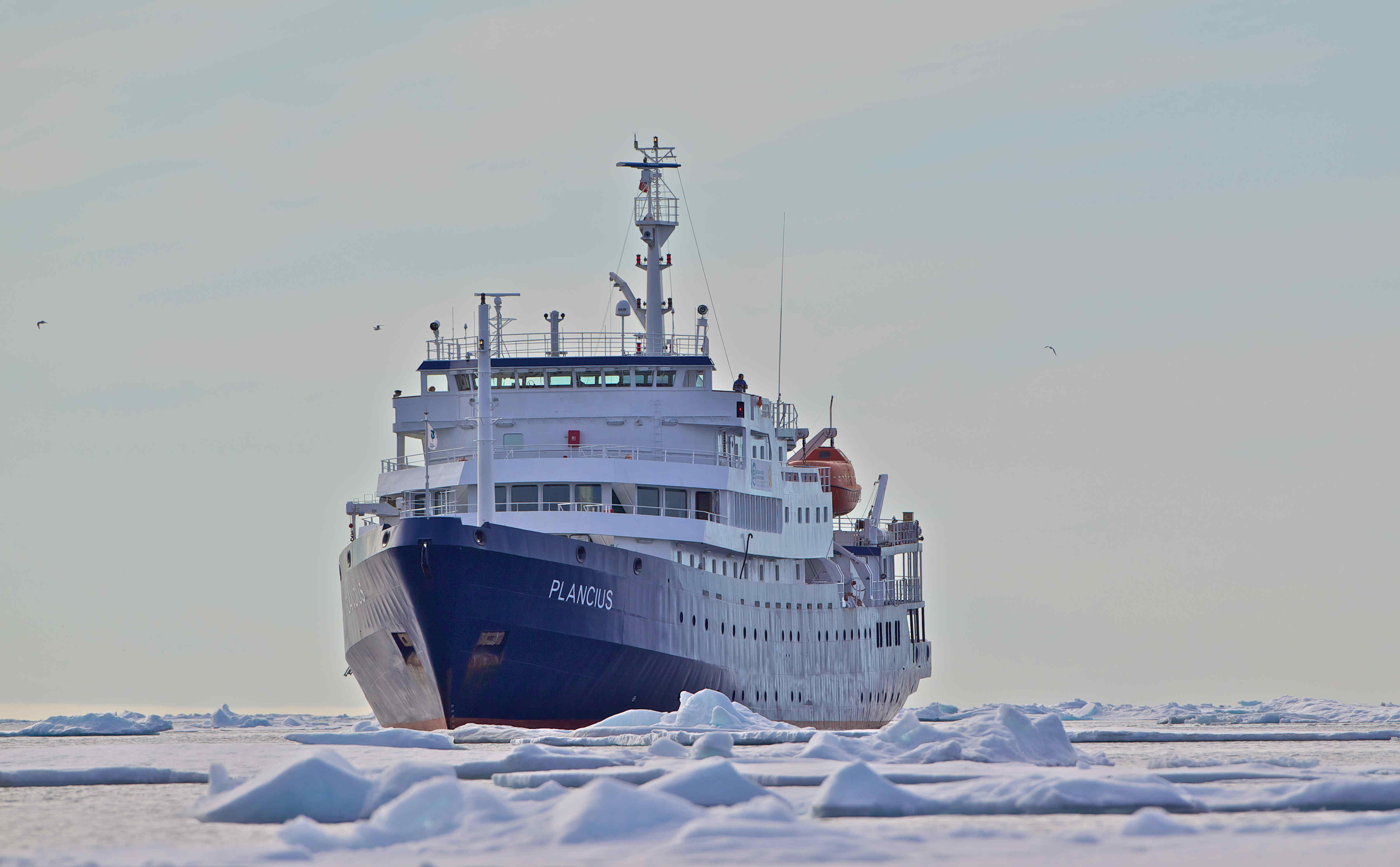 Plancius in pack ice