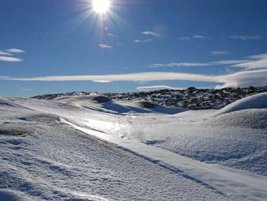 Schneelandschaft in Grönland