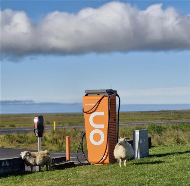 E-Ladestation in Island mit den Schafen am chillen. Foto Petrini