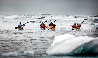 Kayaktour zwischen den Eisbergen