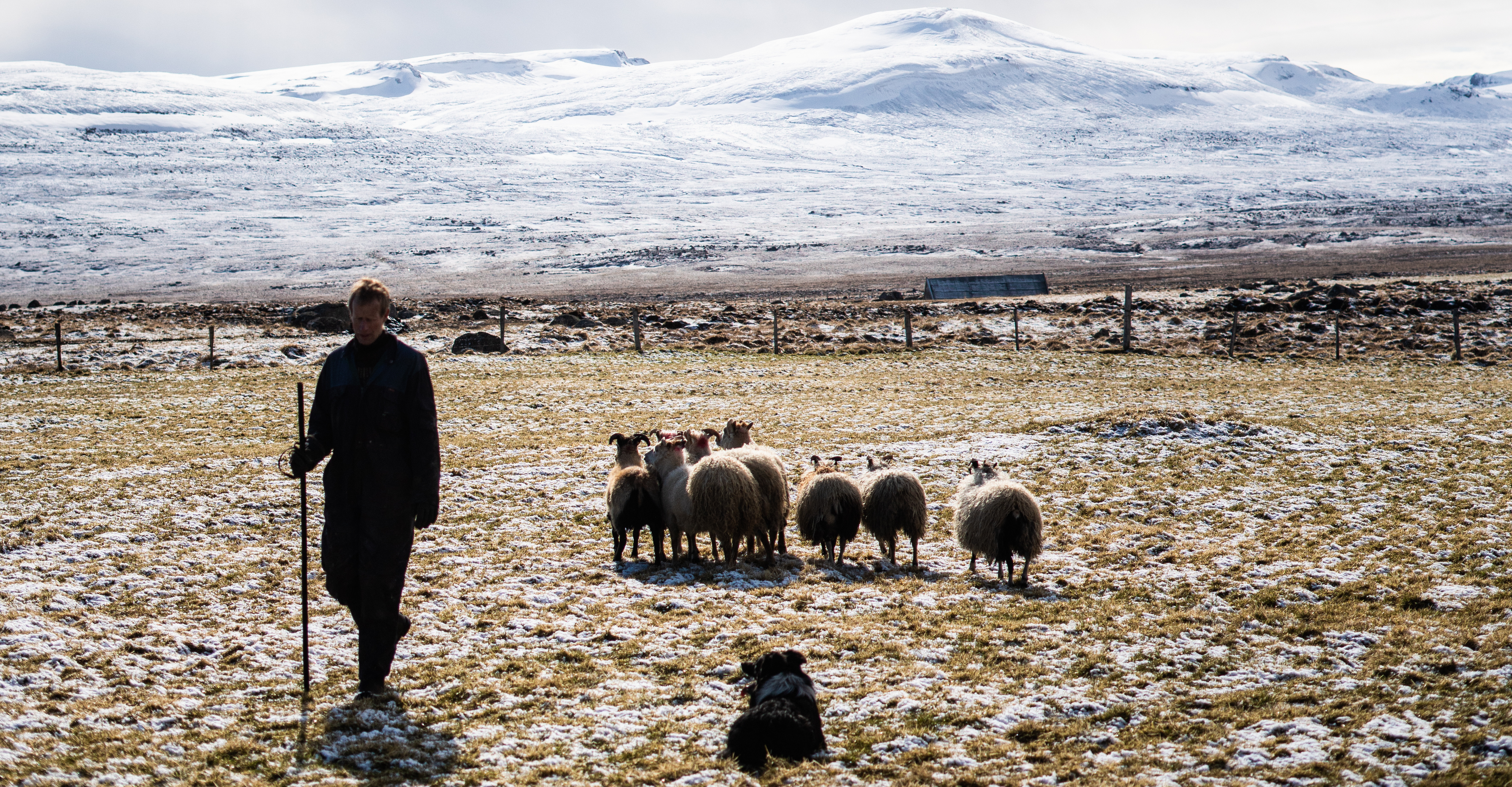 Ruhe und Einsamkeit in der isländischen Natur auf der Farm Ytra-Lón