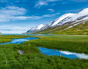 Fjord in Nordisland