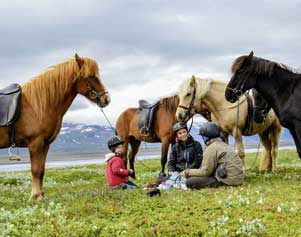 Auf einer Reittour an Islands Südküste 