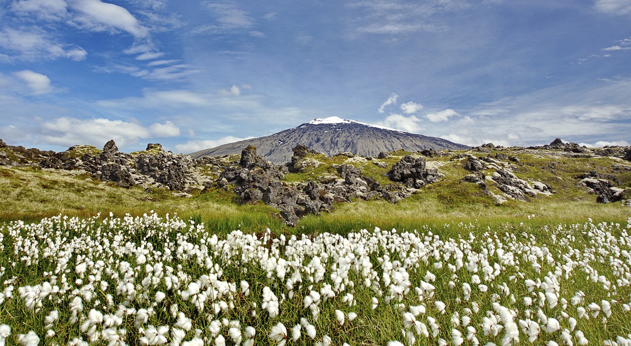 Mit dem Elektroauto den Süden und Südwesten Islands bereisen.