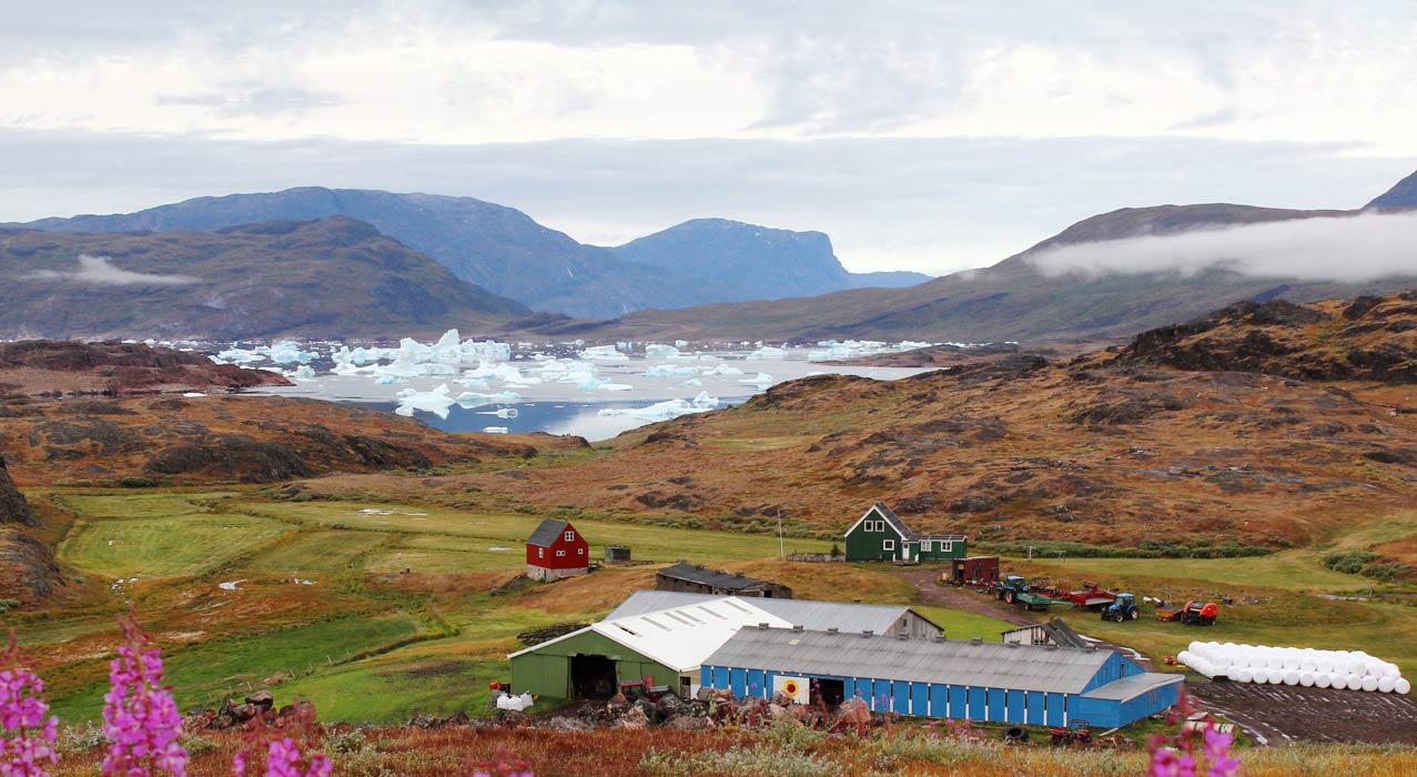 Narsasuaq in Grönland