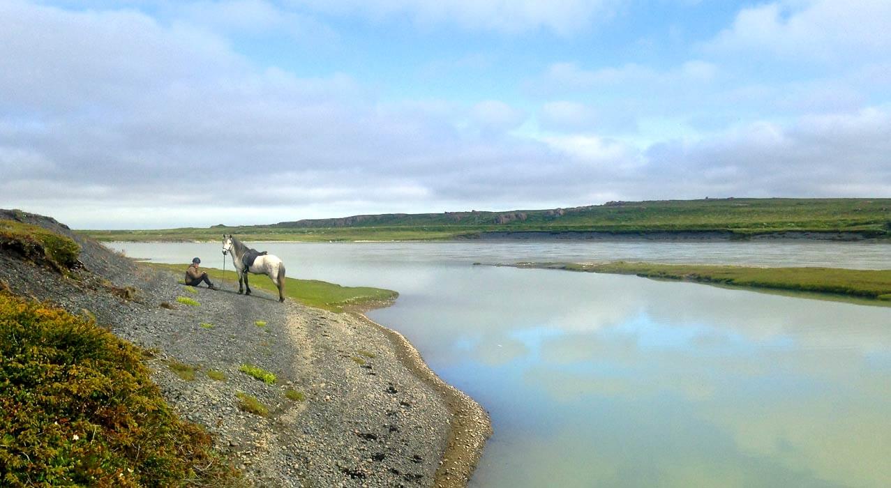 Reiter mit Pferd in Island