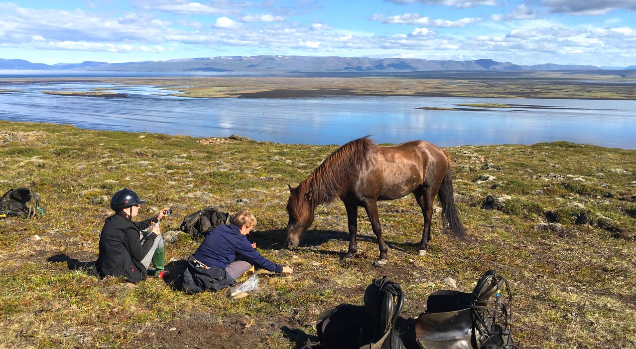 Reiter in der isländischen Landschaft